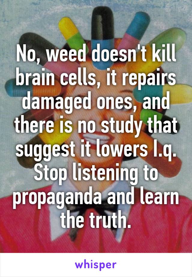 No, weed doesn't kill brain cells, it repairs damaged ones, and there is no study that suggest it lowers I.q.
Stop listening to propaganda and learn the truth.