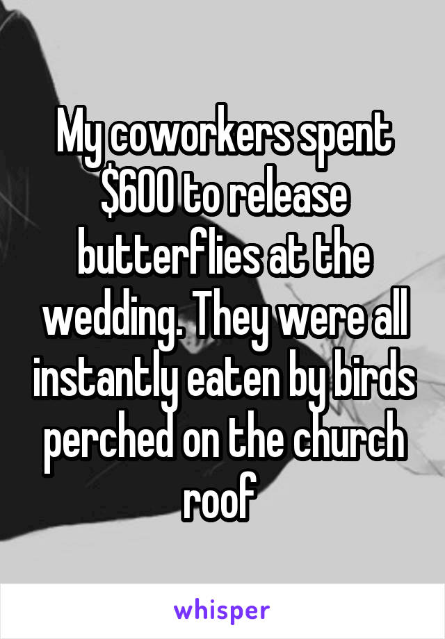 My coworkers spent $600 to release butterflies at the wedding. They were all instantly eaten by birds perched on the church roof 