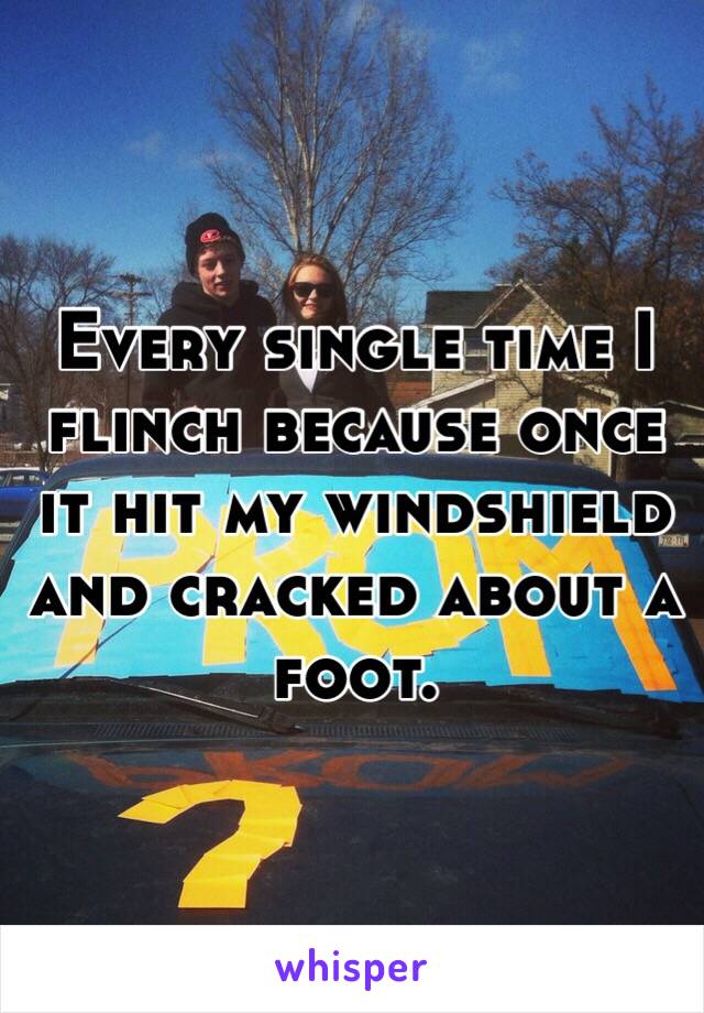 Every single time I flinch because once it hit my windshield and cracked about a foot. 