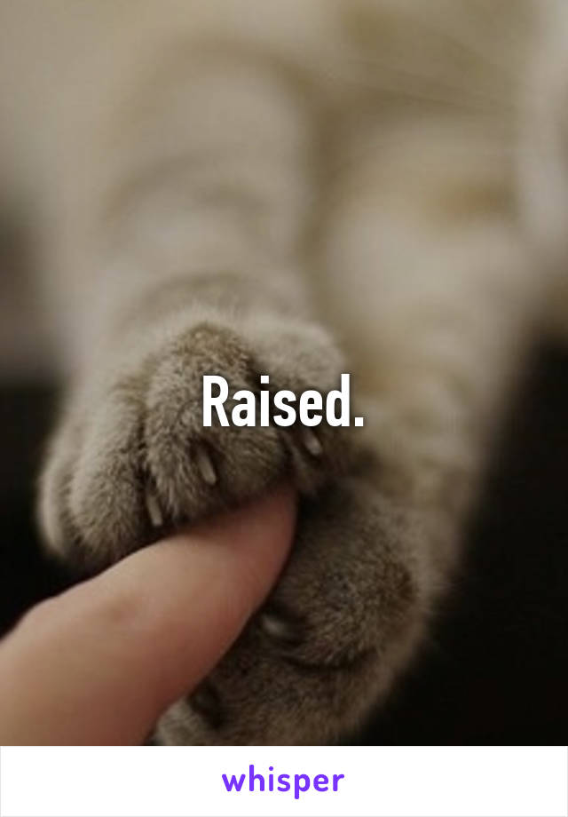 Raised.