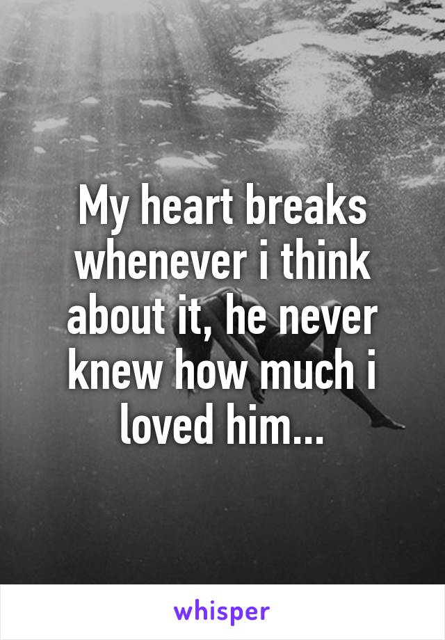 My heart breaks whenever i think about it, he never knew how much i loved him...