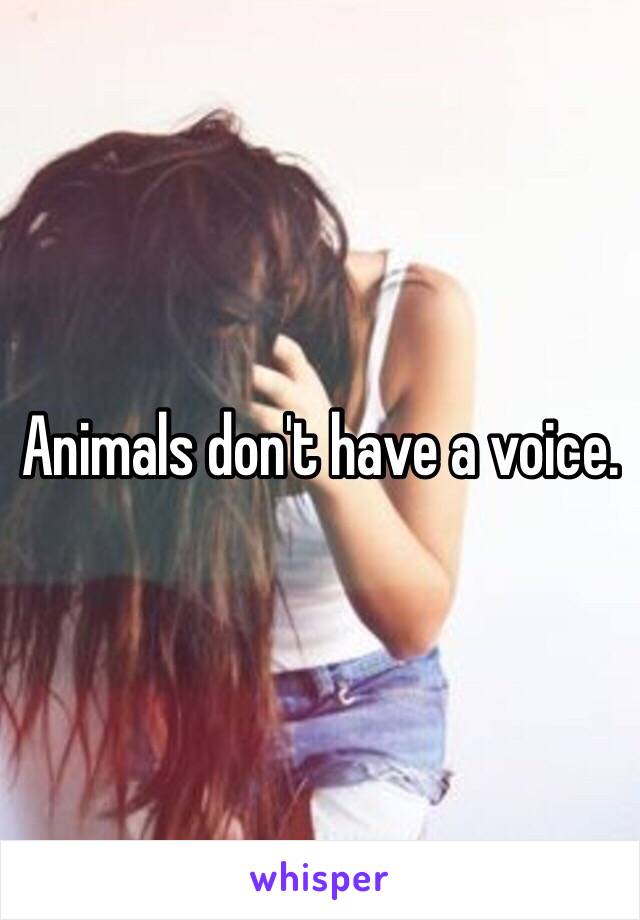 Animals don't have a voice.