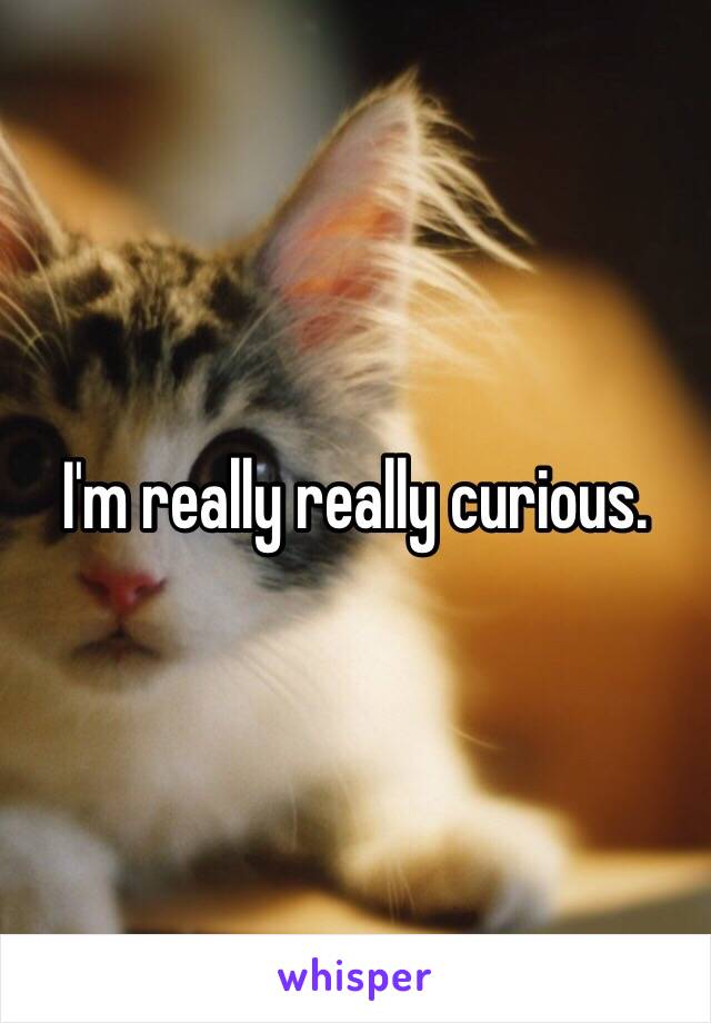 I'm really really curious. 