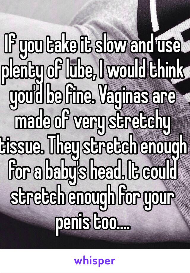 If you take it slow and use plenty of lube, I would think you'd be fine. Vaginas are made of very stretchy tissue. They stretch enough for a baby's head. It could stretch enough for your penis too.... 