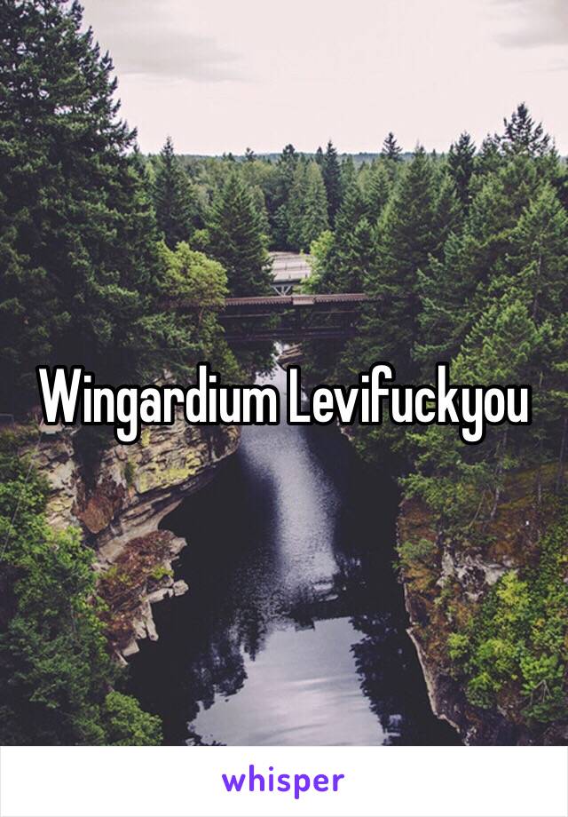 Wingardium Levifuckyou