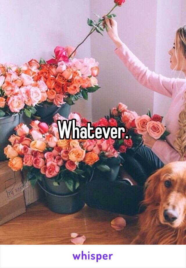 Whatever. 