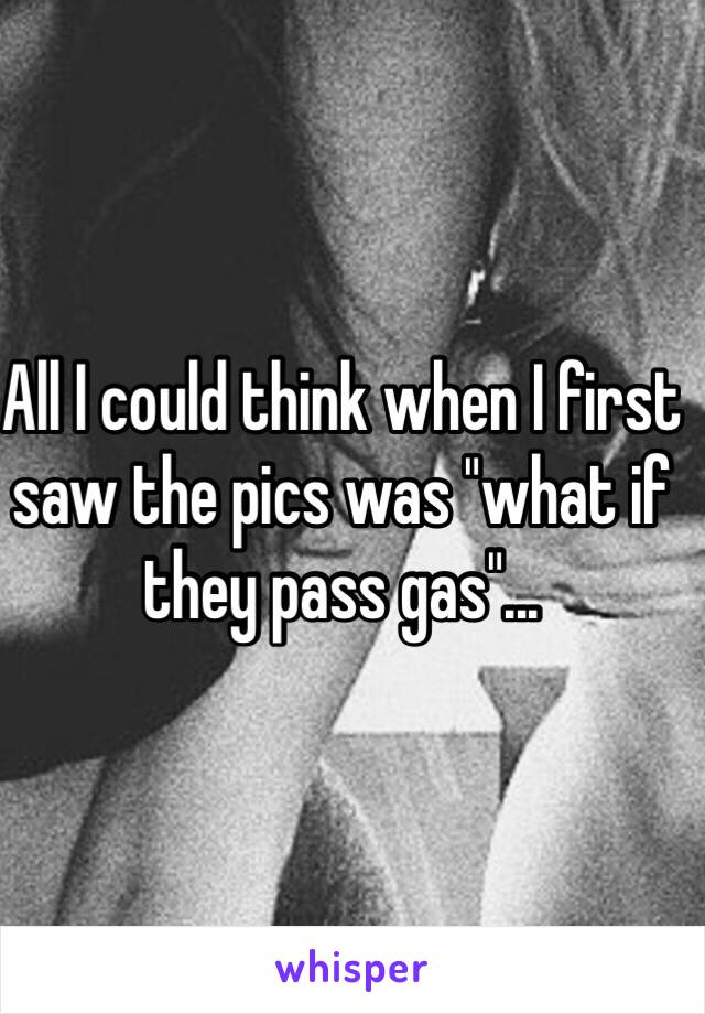 All I could think when I first saw the pics was "what if they pass gas"...