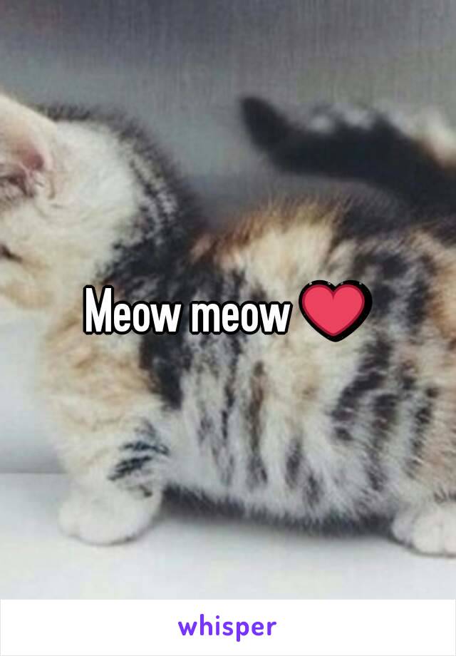 Meow meow ❤