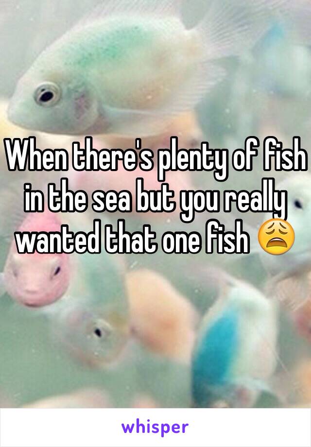 When there's plenty of fish in the sea but you really wanted that one fish 😩