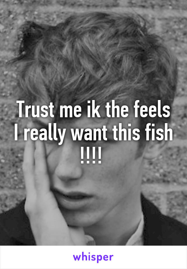 Trust me ik the feels I really want this fish !!!! 