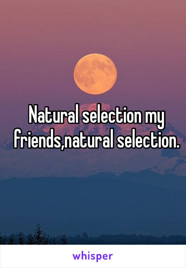 Natural selection my friends,natural selection.