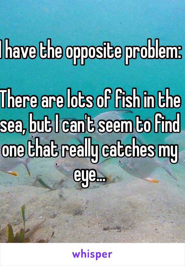 I have the opposite problem:

There are lots of fish in the sea, but I can't seem to find one that really catches my eye...