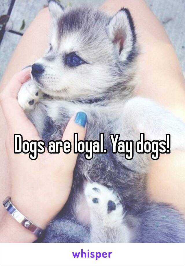 Dogs are loyal. Yay dogs!