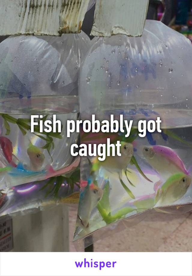 Fish probably got caught