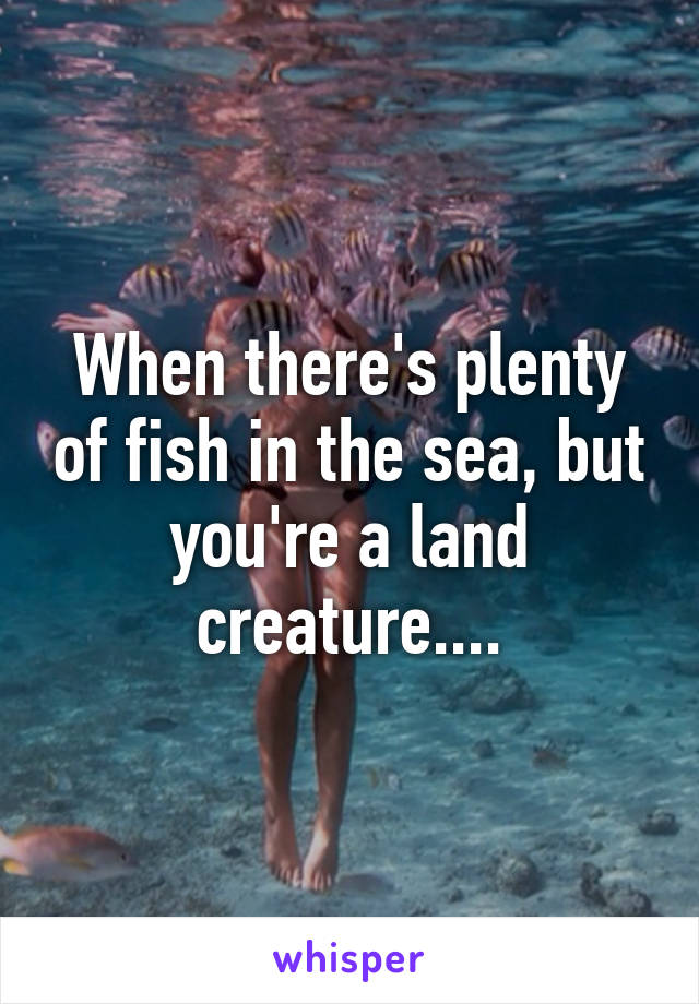 When there's plenty of fish in the sea, but you're a land creature....