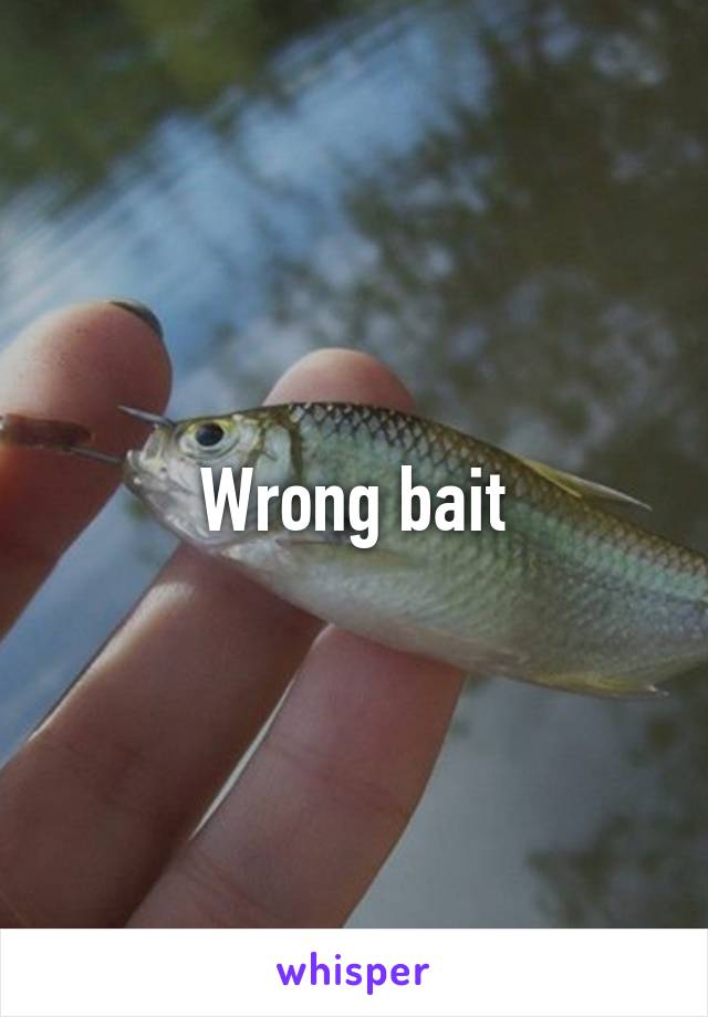 Wrong bait