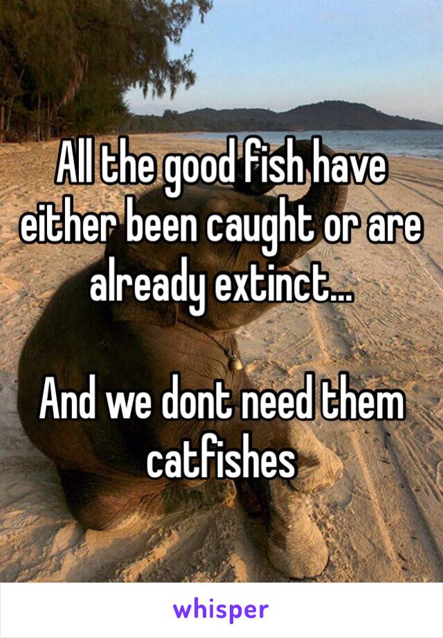 All the good fish have either been caught or are already extinct...

And we dont need them catfishes