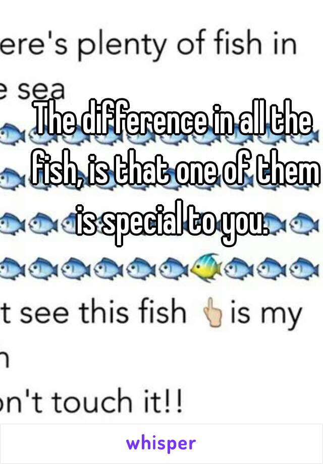 The difference in all the fish, is that one of them is special to you. 