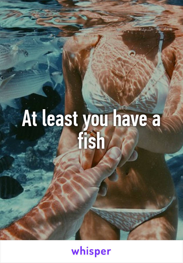 At least you have a fish