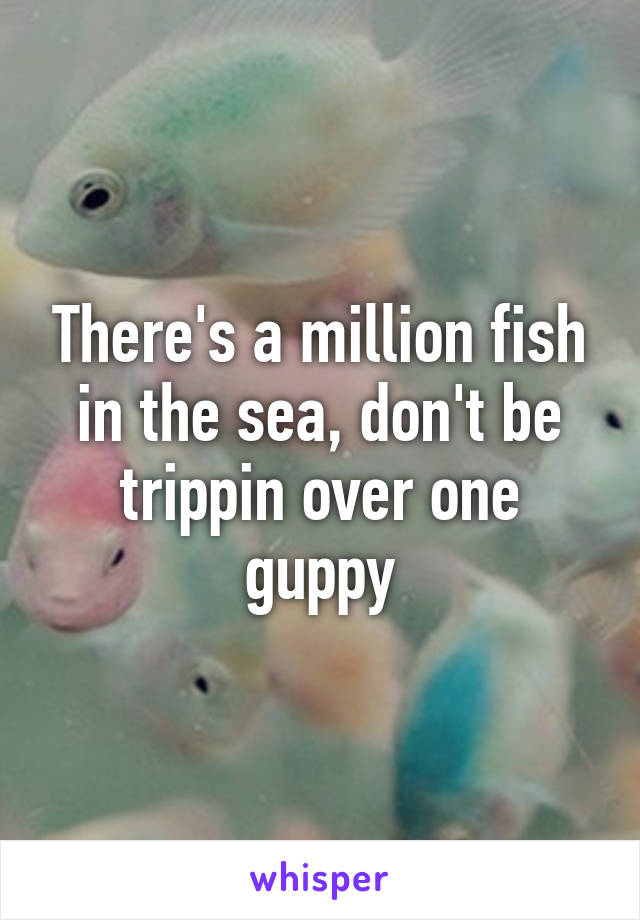 There's a million fish in the sea, don't be trippin over one guppy