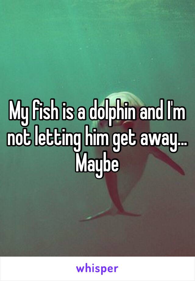 My fish is a dolphin and I'm not letting him get away... Maybe 