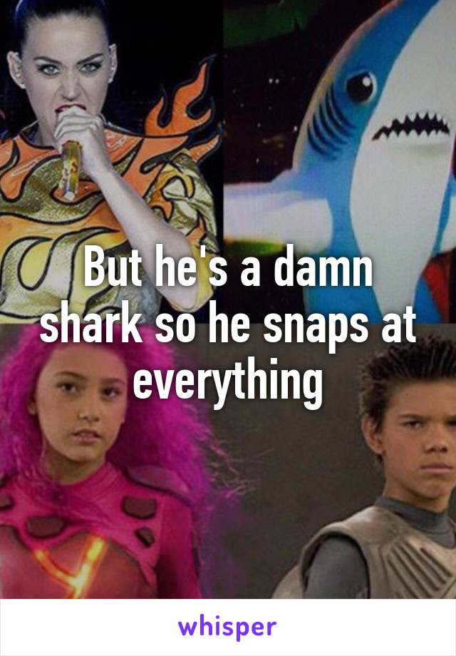 But he's a damn shark so he snaps at everything