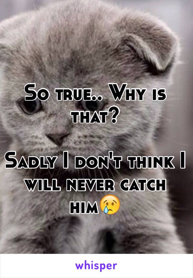 So true.. Why is that?

Sadly I don't think I will never catch him😢