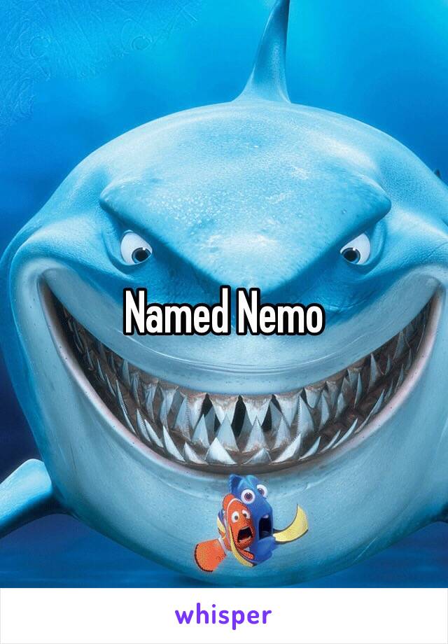 Named Nemo