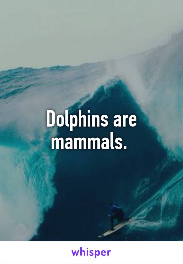 Dolphins are mammals. 