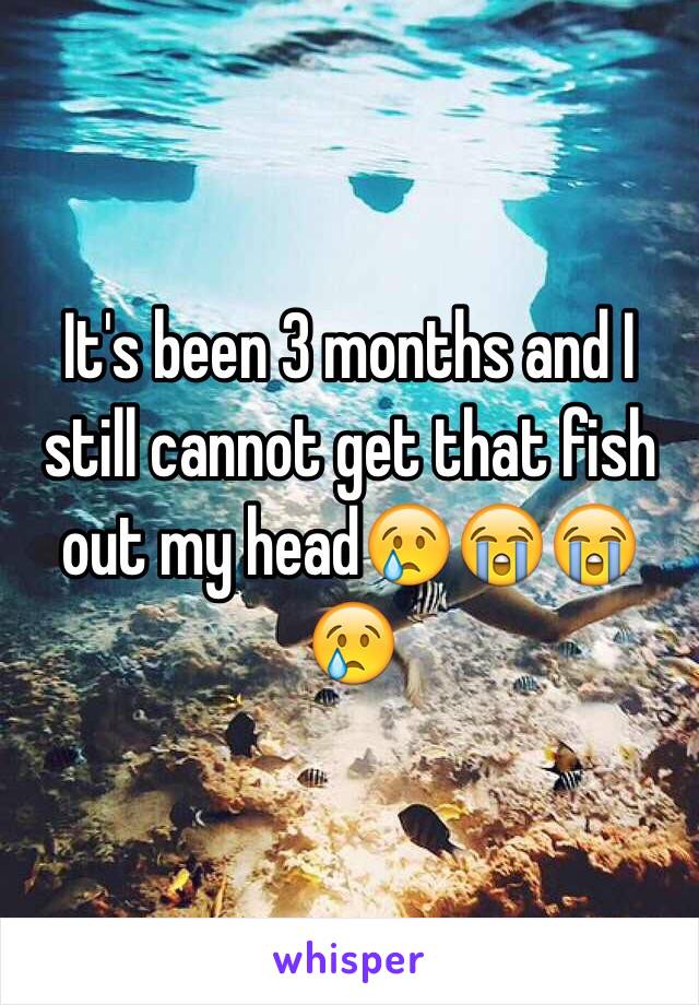 It's been 3 months and I still cannot get that fish out my head😢😭😭😢
