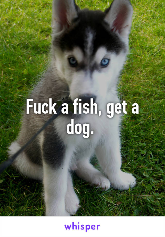 Fuck a fish, get a dog. 