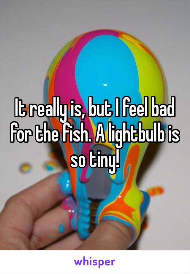 It really is, but I feel bad for the fish. A lightbulb is so tiny! 