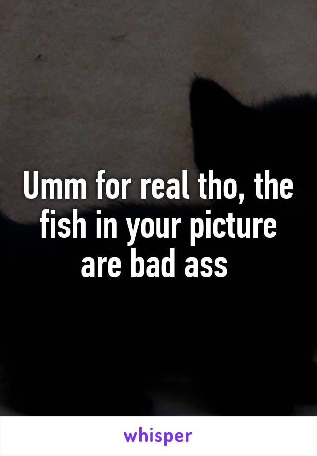 Umm for real tho, the fish in your picture are bad ass 