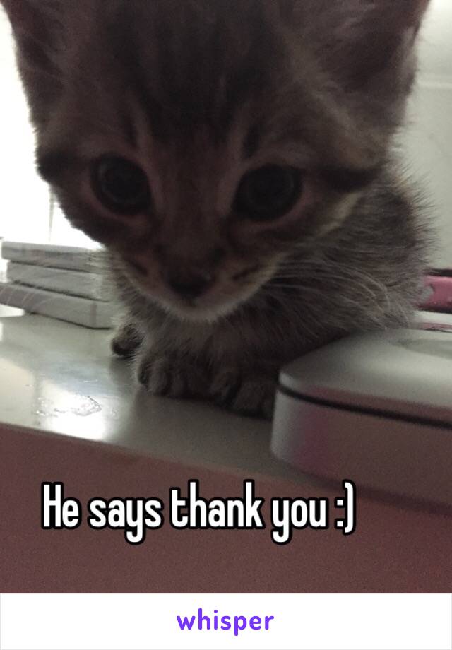 He says thank you :)