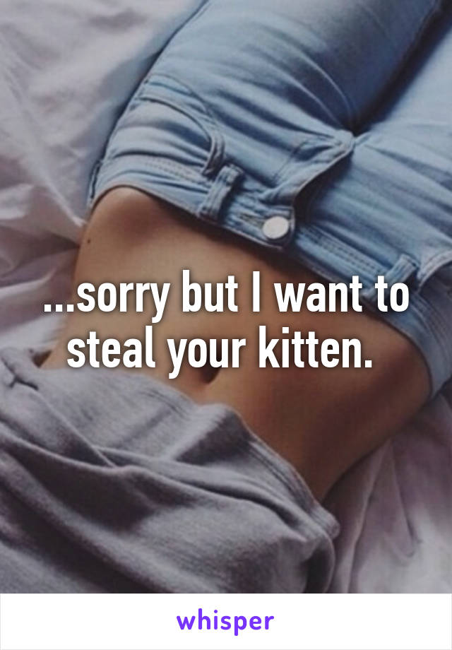 ...sorry but I want to steal your kitten. 