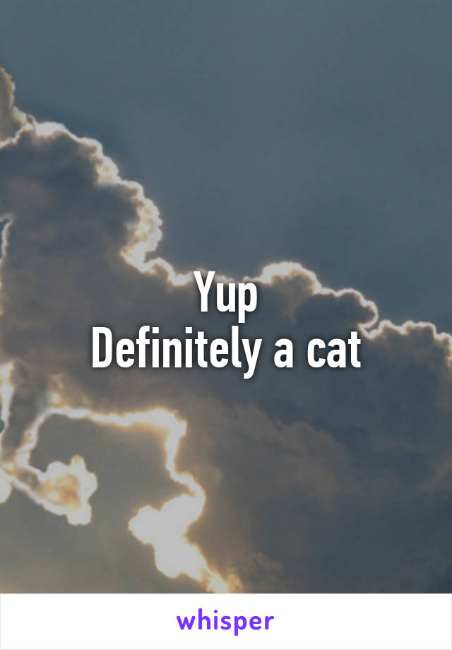 Yup
Definitely a cat