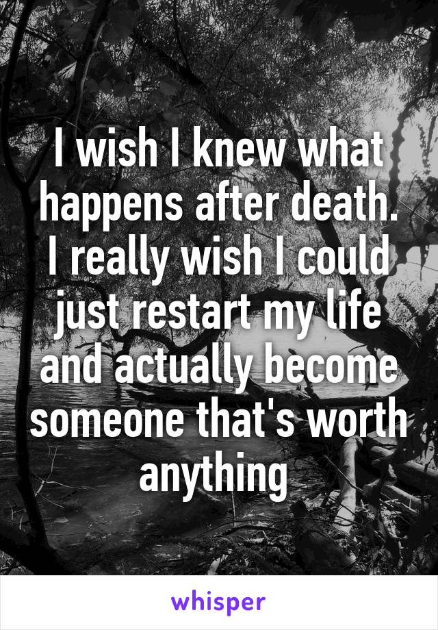 I wish I knew what happens after death. I really wish I could just restart my life and actually become someone that's worth anything 