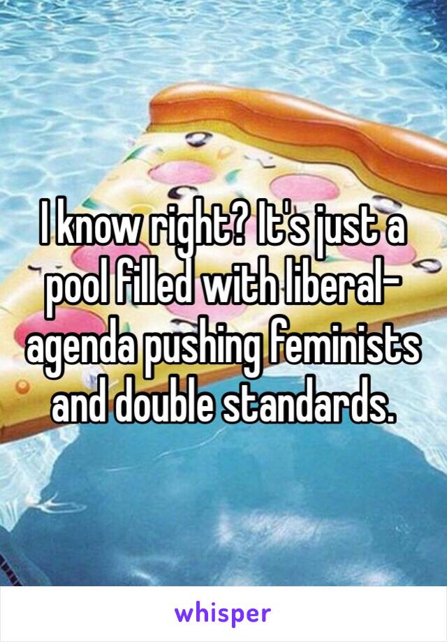 I know right? It's just a pool filled with liberal-agenda pushing feminists and double standards. 