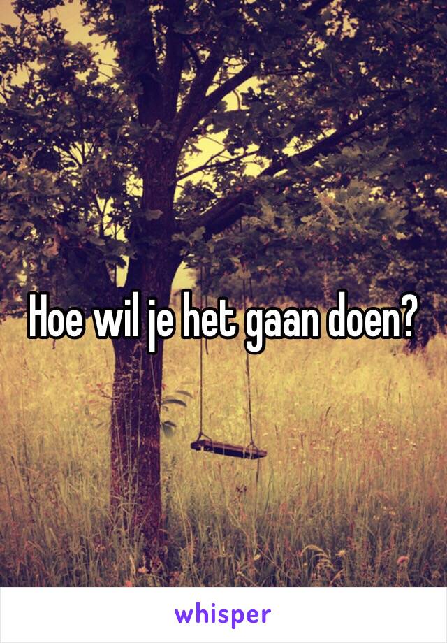 Hoe wil je het gaan doen?