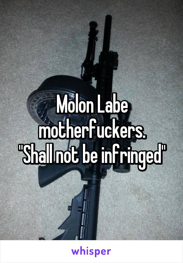 Molon Labe motherfuckers.
"Shall not be infringed"