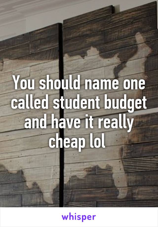 You should name one called student budget and have it really cheap lol 