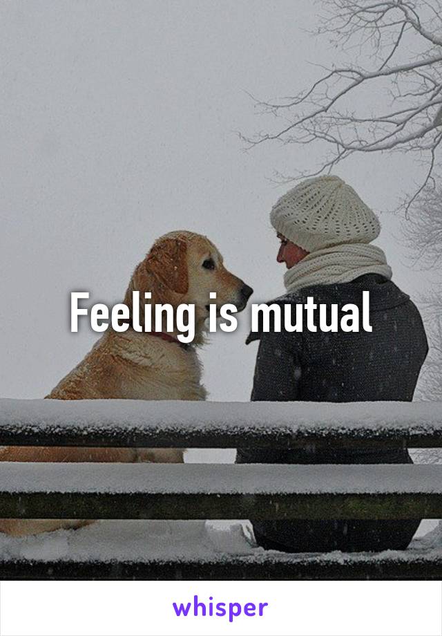 Feeling is mutual