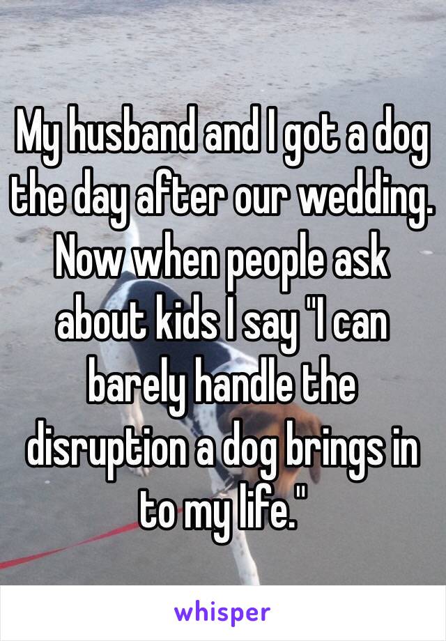 My husband and I got a dog the day after our wedding.  Now when people ask about kids I say "I can barely handle the disruption a dog brings in to my life."  