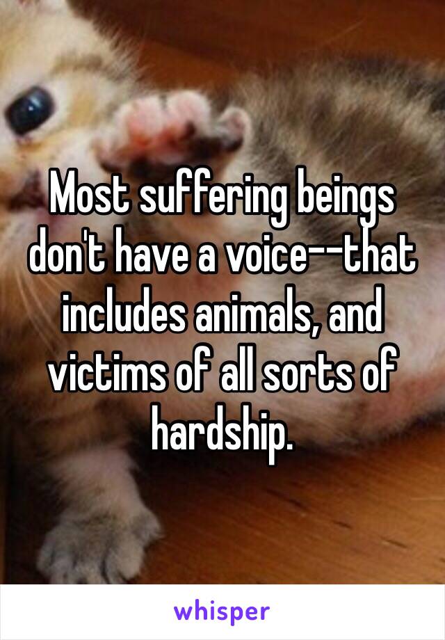 Most suffering beings don't have a voice--that includes animals, and victims of all sorts of hardship.  