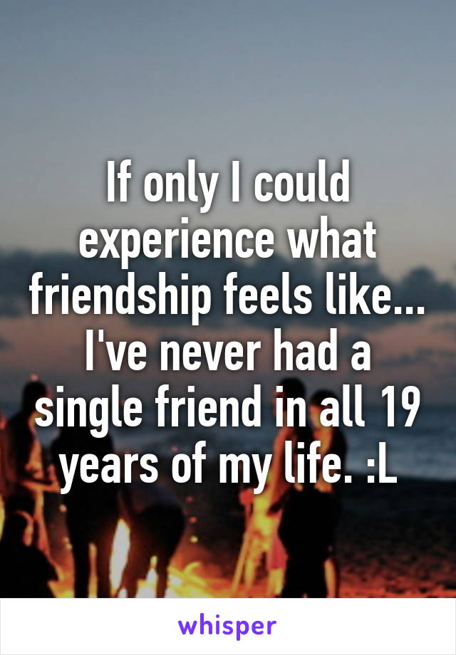 If only I could experience what friendship feels like... I've never had a single friend in all 19 years of my life. :L