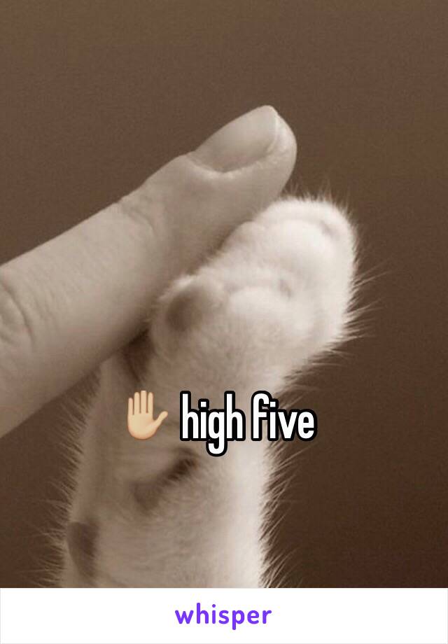 ✋🏼 high five