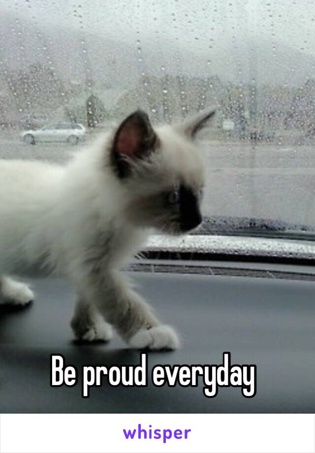 Be proud everyday