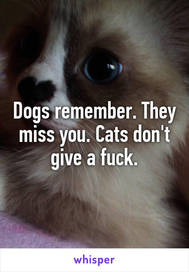 Dogs remember. They miss you. Cats don't give a fuck.