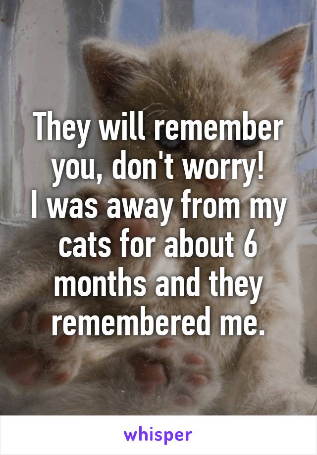 They will remember you, don't worry!
I was away from my cats for about 6 months and they remembered me.