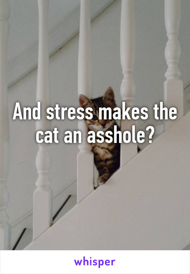 And stress makes the cat an asshole?
